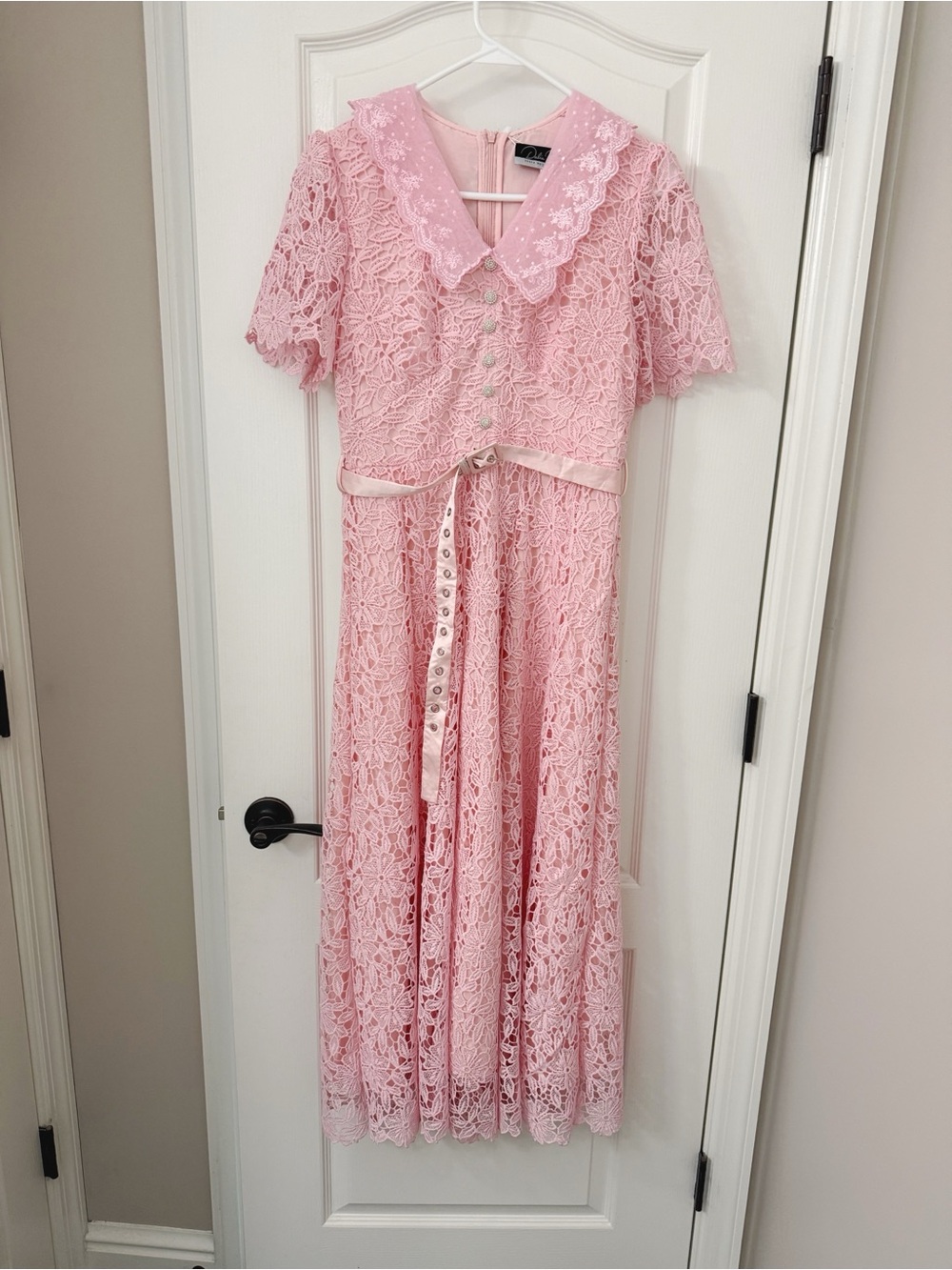 NWT Dalia Macphee lace pink dress - Picture 4 of 6